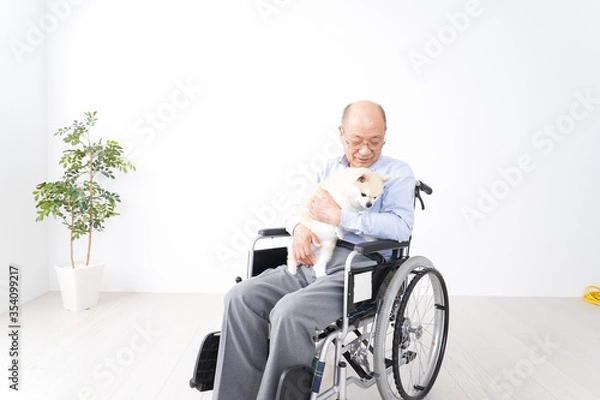 Fototapeta 犬を飼う車椅子に乗った高齢の男性