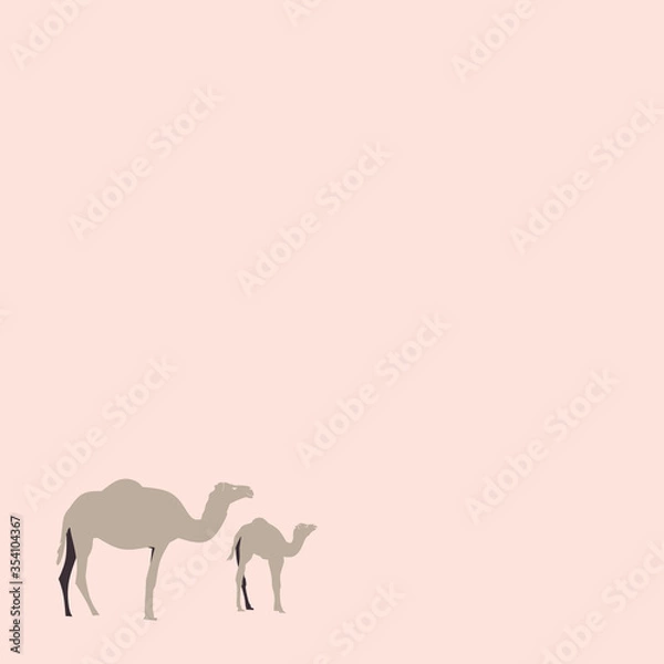 Obraz Vector camel in the desert. Single element.
