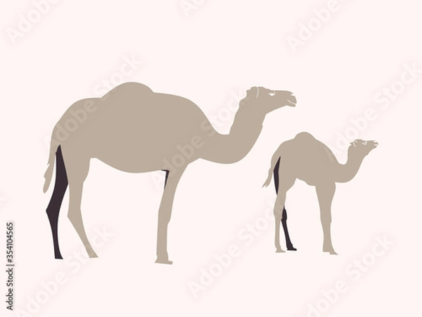Fototapeta Vector camel in the desert. Single element.