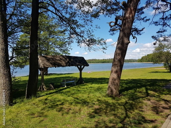 Fototapeta Las Augustów