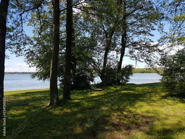 Fototapeta Las Augustów