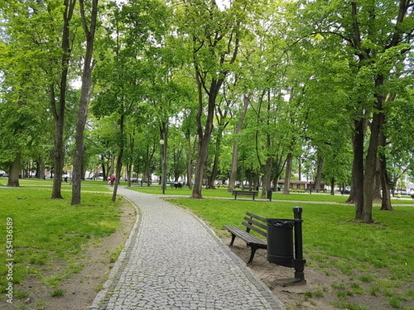 Fototapeta Las Augustów