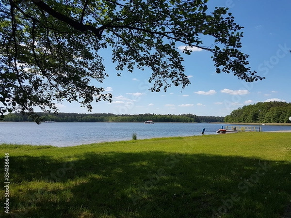 Fototapeta Las Augustów