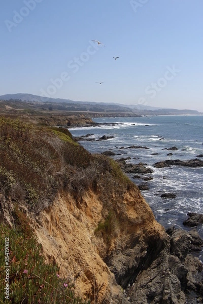 Obraz California coast landscape