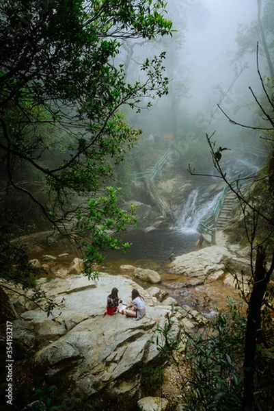 Fototapeta back of view two friends sitting near waterfall in forest