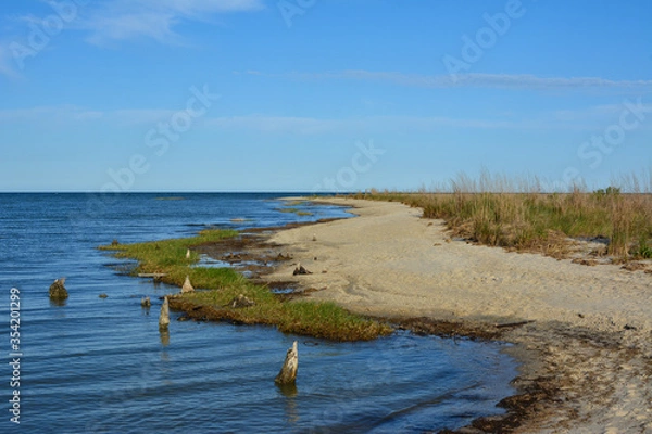 Fototapeta Wide open beach along the Chesapeake Bay at Hughlett Point Natural Area at the tip of the Northern Neck in Virginia. 