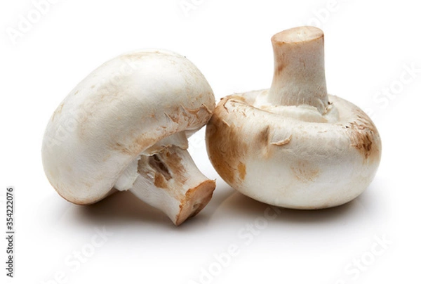 Obraz Mushroom Isolated on White Background