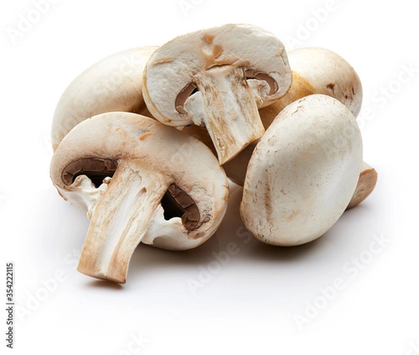 Obraz Mushroom Isolated on White Background