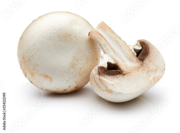 Obraz Mushroom Isolated on White Background