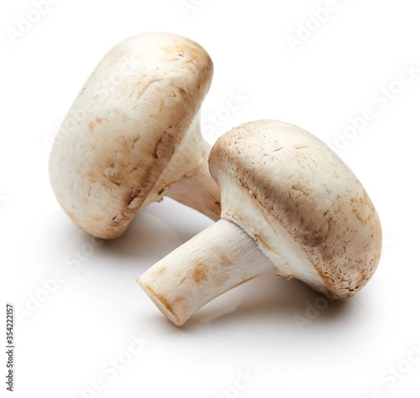 Obraz Mushroom Isolated on White Background