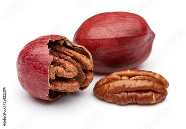 Obraz Pecan Isolated on White Background