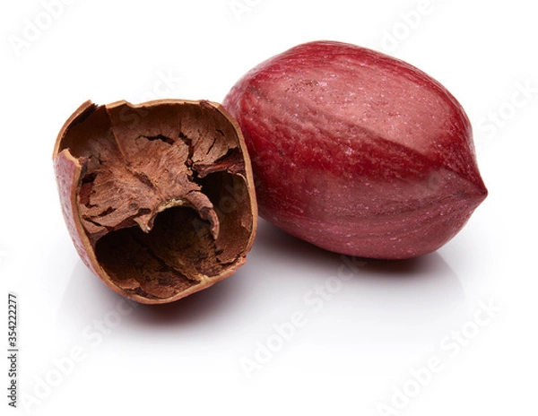 Obraz Pecan Isolated on White Background