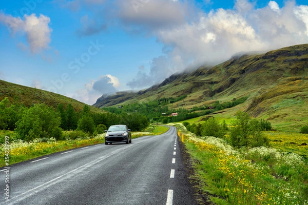 Fototapeta Highway roads and cars in the mountains and valleys in the summer There are wildflowers throughout the countryside in Iceland. Concept for holiday travel driving.