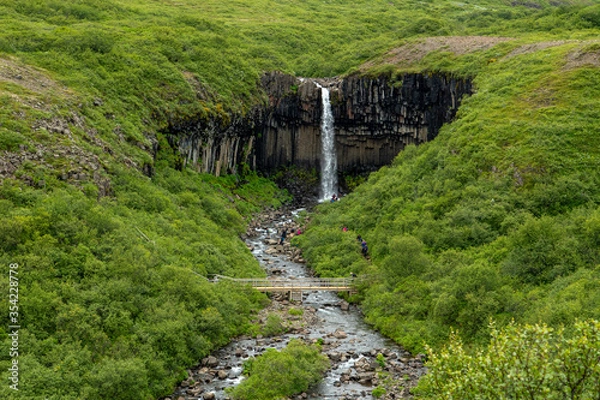 Fototapeta Svartifoss is a waterfall in Skaftafell in Vatnajökull National Park in Iceland and is one of the most popular tourist attractions in Iceland, during the summer there are green grass all over the area