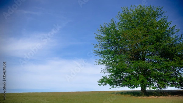 Fototapeta My First Landscape