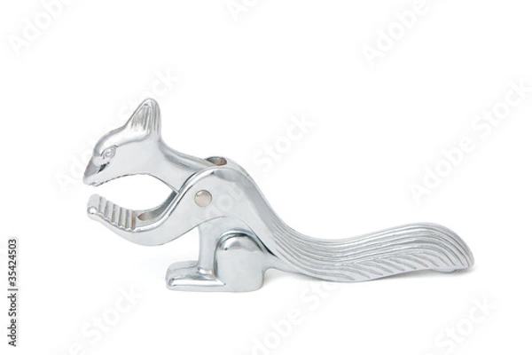 Obraz Squirrel nutcracker