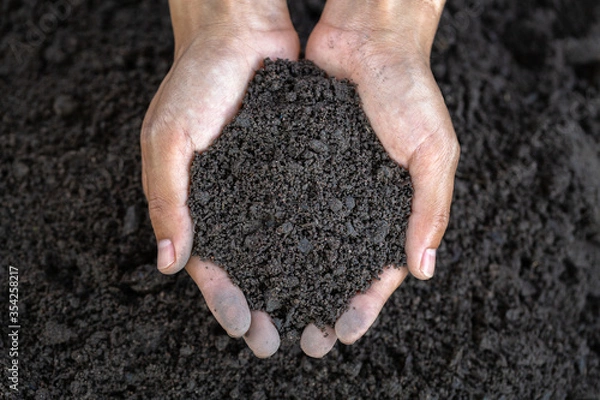 Fototapeta Top view. Farmer holding soil in hands.  The researchers check the quality of the soil.  Agriculture, gardening or ecology concept layout , copy space.