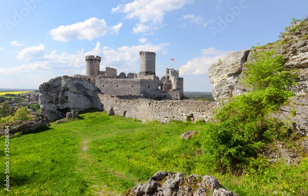 Fototapeta View of the ruins of an old castle in Poland