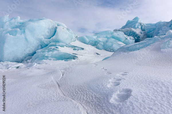 Fototapeta Polar bear tracks in the snow in front of an iceberg on Spitsbergen