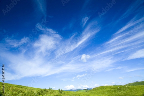 Obraz 緑の丘と雲