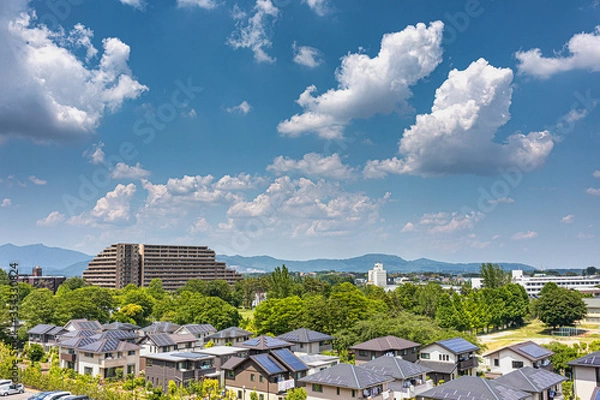 Fototapeta 地方の緑豊かな住宅街と夏の空と入道雲