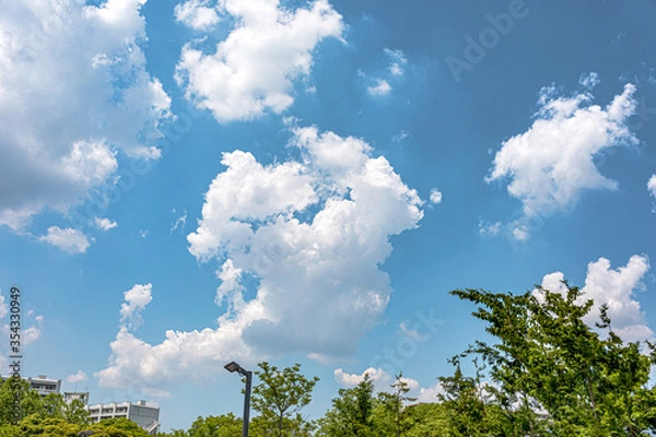 Fototapeta 夏の青い空と大きな雲