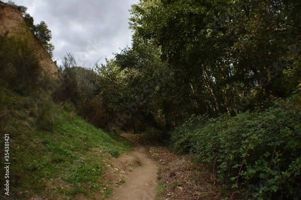 Obraz bosque tétrico 