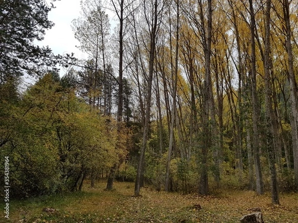 Obraz otoño en cuenca