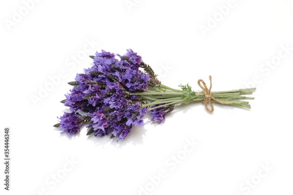 Obraz 白背景のラベンダー