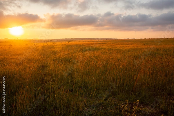 Obraz sunset over field