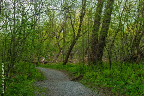 Fototapeta St-Charles River spring 2020