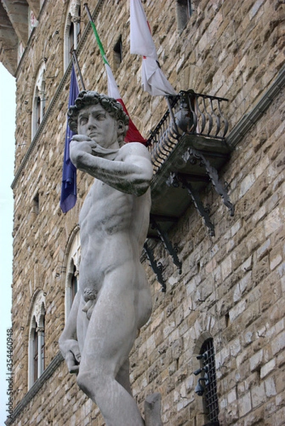 Obraz The David, scukpture made by Michelangelo Buonarrotti and located in Piazza della Signoria in Florence, Italy