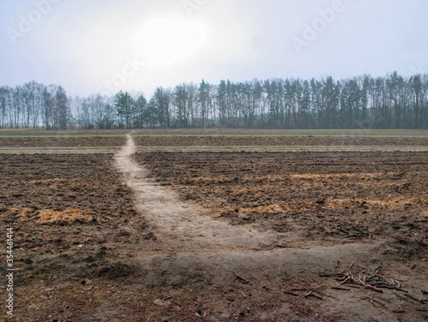 Obraz the path on the field