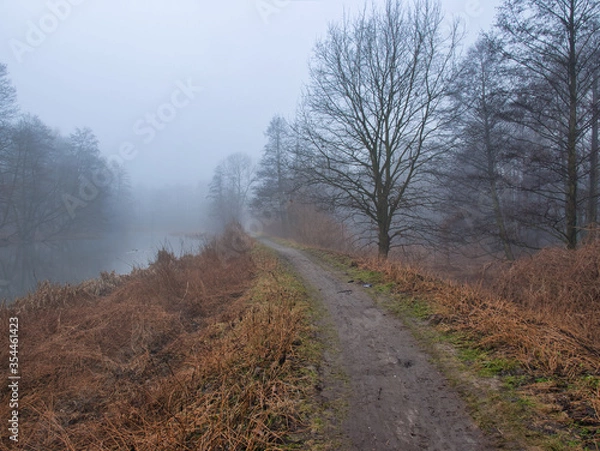 Obraz OLYMPUS DIGITAL CAMERA