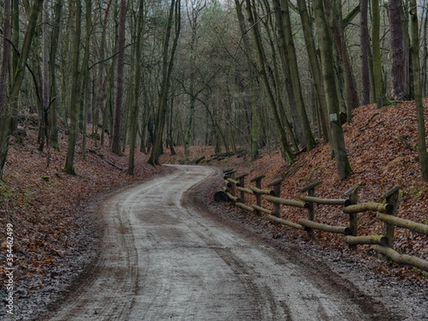 Obraz OLYMPUS DIGITAL CAMERA