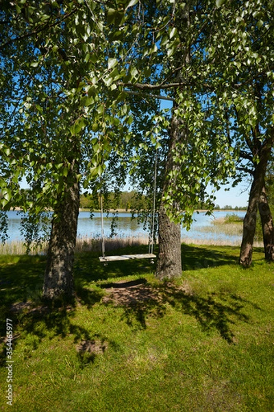 Fototapeta swing on a tree next to the lake