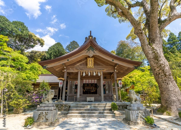 Obraz 宝満宮竈門神社（ほうまんぐうかまどじんじゃ）福岡県太宰府市