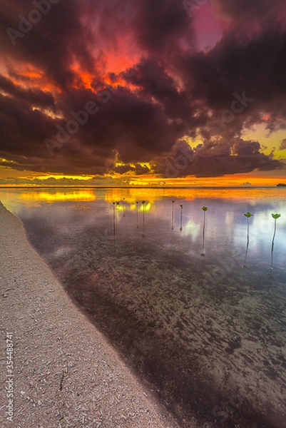 Fototapeta sunset over the river