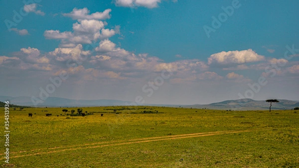 Obraz Masai Mara, Kenya