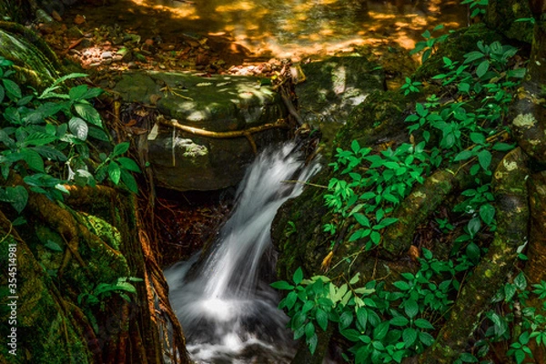Obraz waterfall in the forest