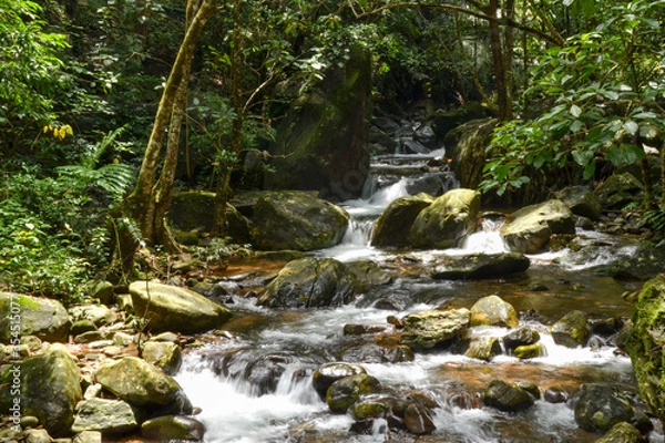 Obraz waterfall in the forest
