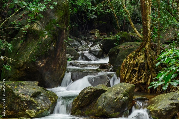 Obraz waterfall in the forest