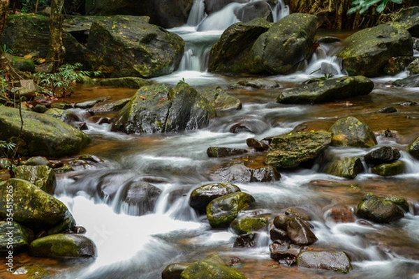Obraz waterfall in the forest