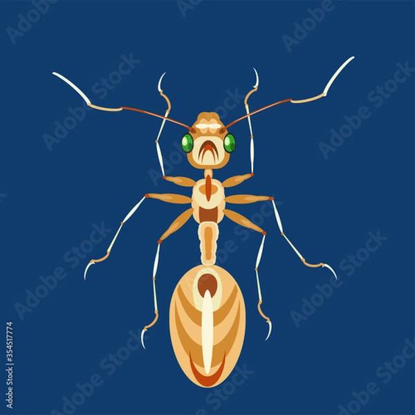 Obraz House ant is an urban pest vector illustration. 