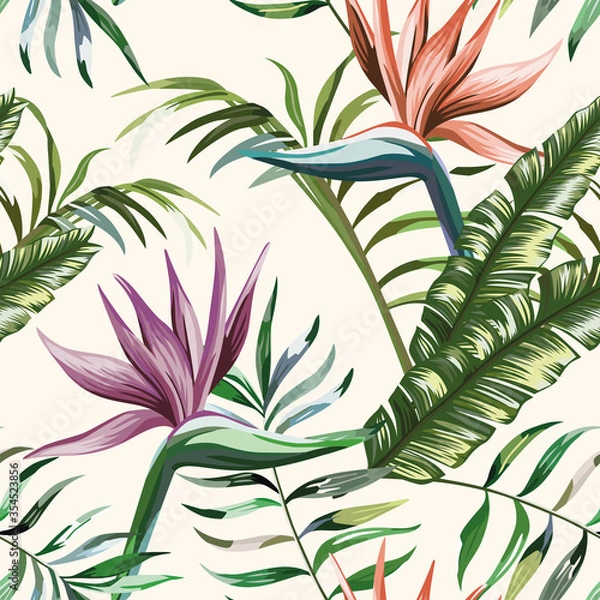 Fototapeta Piękne multi kolorowe egzotyczne kwiaty tropikalne strelitzia i zielona palma, banan, paproć pozostawia bez szwu wektor wzór na białym tle. Ilustracja modna plaża lato.