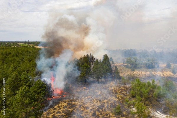 Fototapeta Aerial drone view of a wildfire in forested area