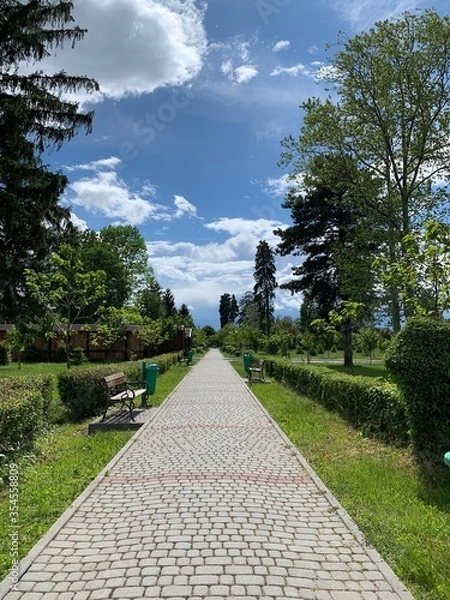 Fototapeta path in the park