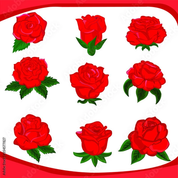 Obraz set of red roses vector