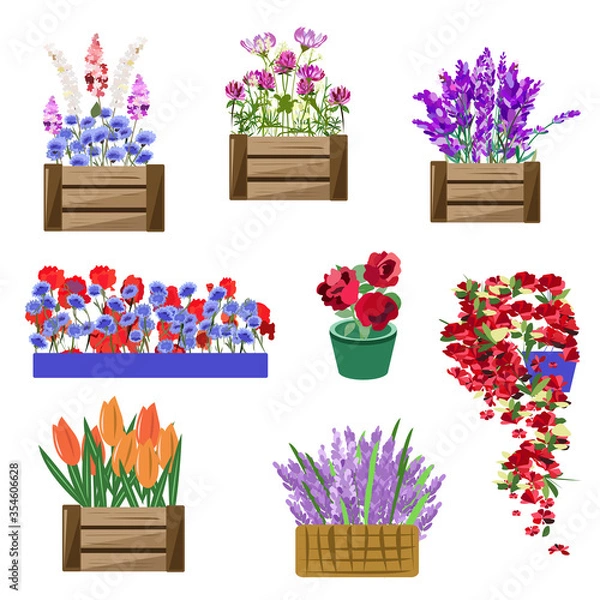 Obraz Set of flower seedlings in boxes and pots