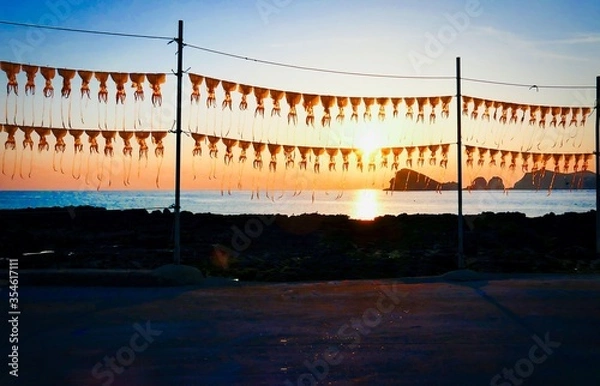 Obraz 제주도 바닷가에 오징어를 말리고 있는 풍경